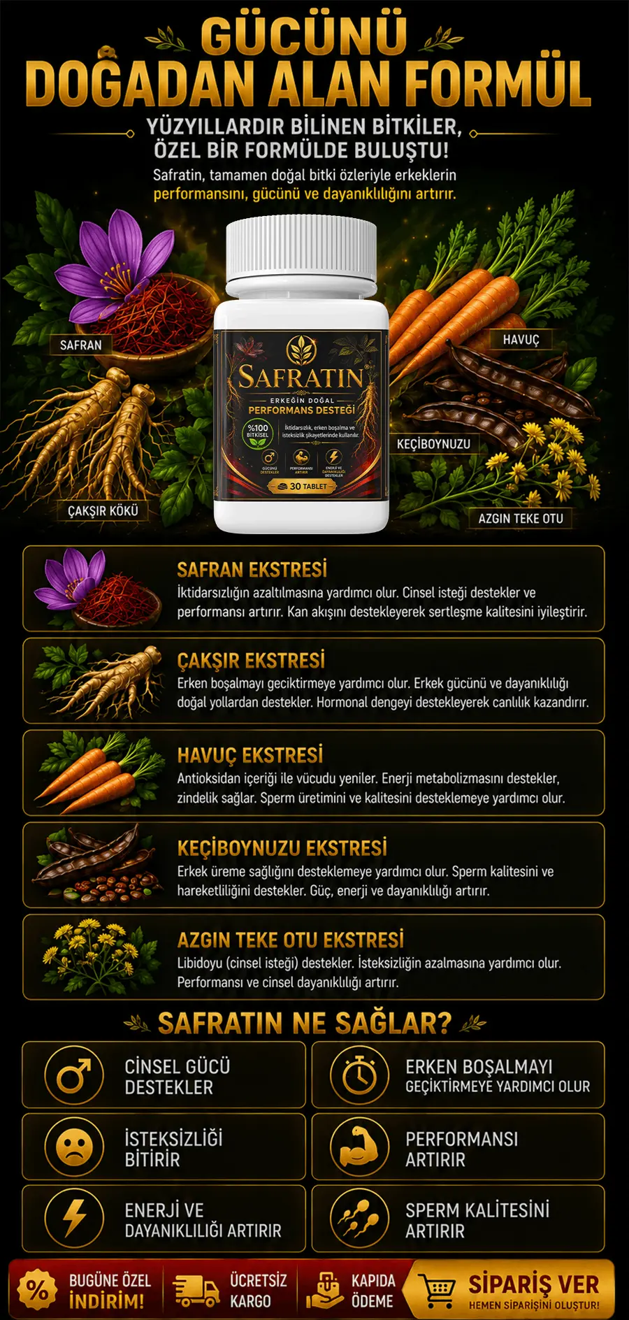 SAFRATİN 3